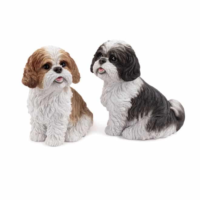 Sitting Shih-Tzu - Black & White - Image 2