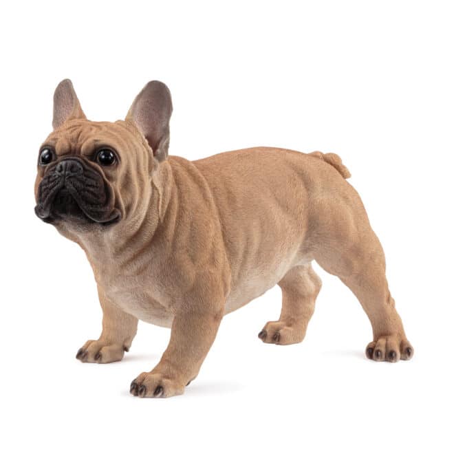 French Bulldog Large - Brown