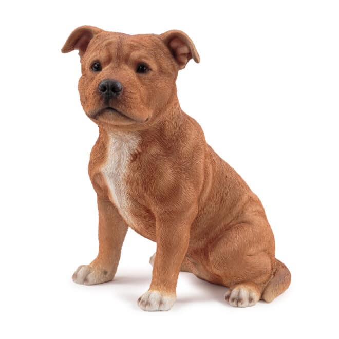Staffy Small - Brown