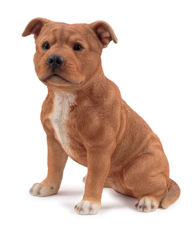 Staffy Small - Brown