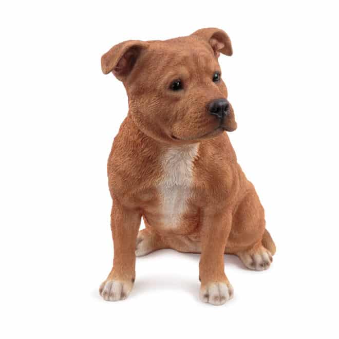 Staffy Small - Brown - Image 2