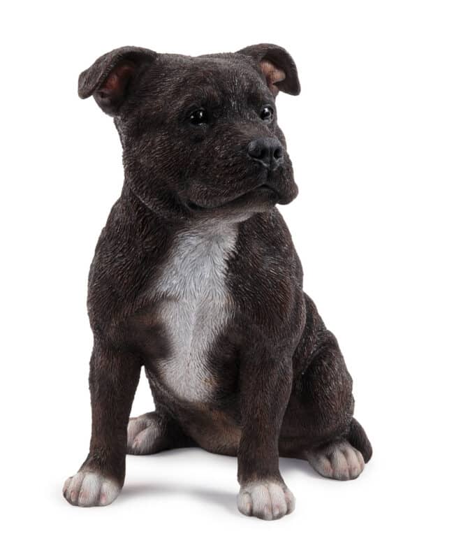 Staffy Small - Black