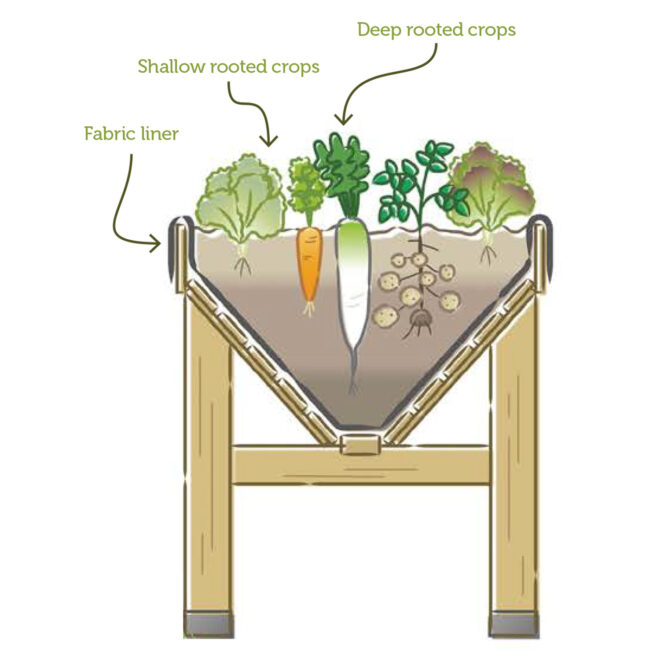 VegTrug Aluminium - 1m - Natural Wood Effect - Image 4