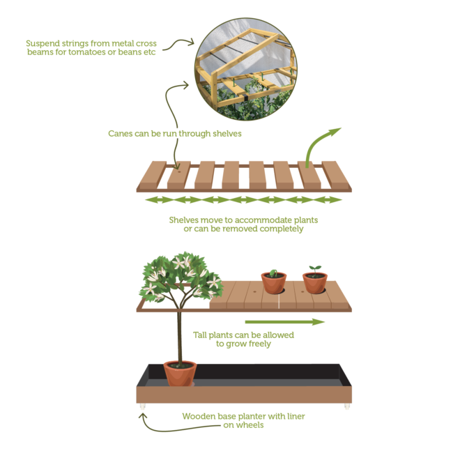 VegTrug Tomato Greenhouse - Natural  (FSC 100%) - Image 5