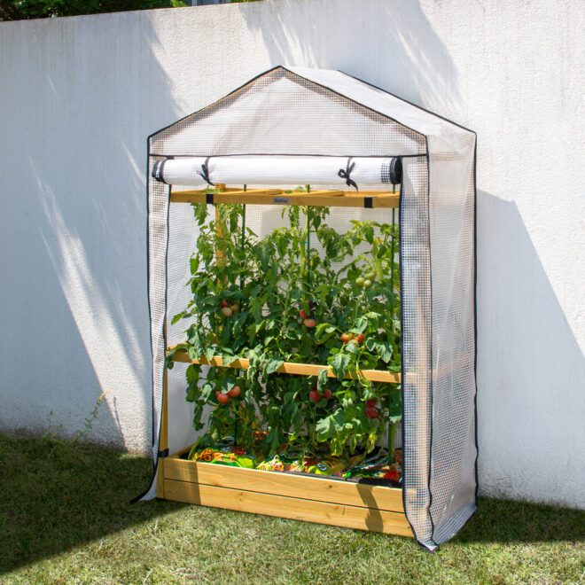 VegTrug Tomato Greenhouse - Replacement Cover - Image 2