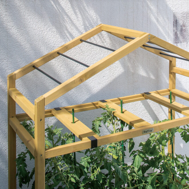 VegTrug Tomato Greenhouse - Natural  (FSC 100%) - Image 3