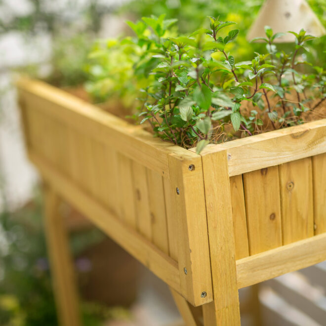 Herb Garden – Natural Finish - FSC 100% - Image 4