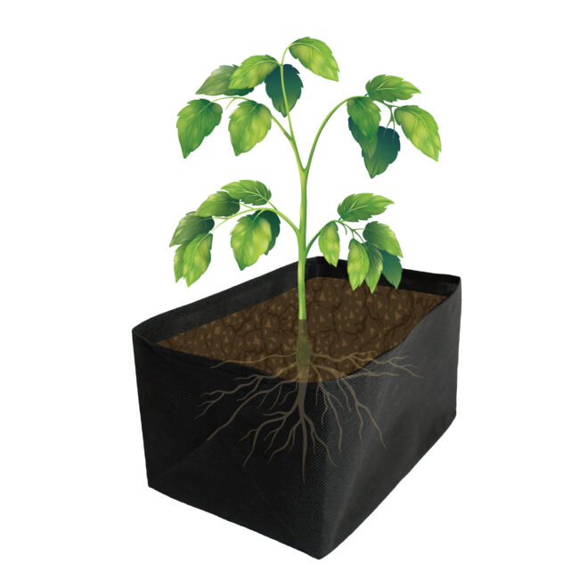 Herb Garden – Natural Finish - FSC 100% - Image 13