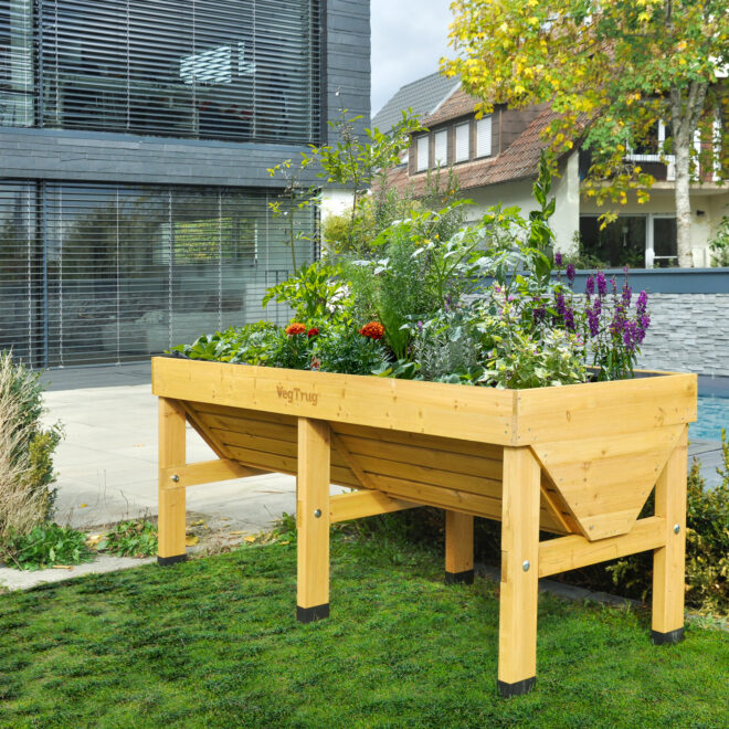 VegTrug Classic - Medium 1.8m - Natural - FSC 100℅ - Image 5