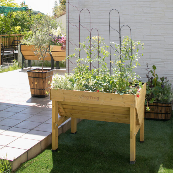 VegTrug Classic - Small 1m - Natural - FSC 100℅ - Image 4