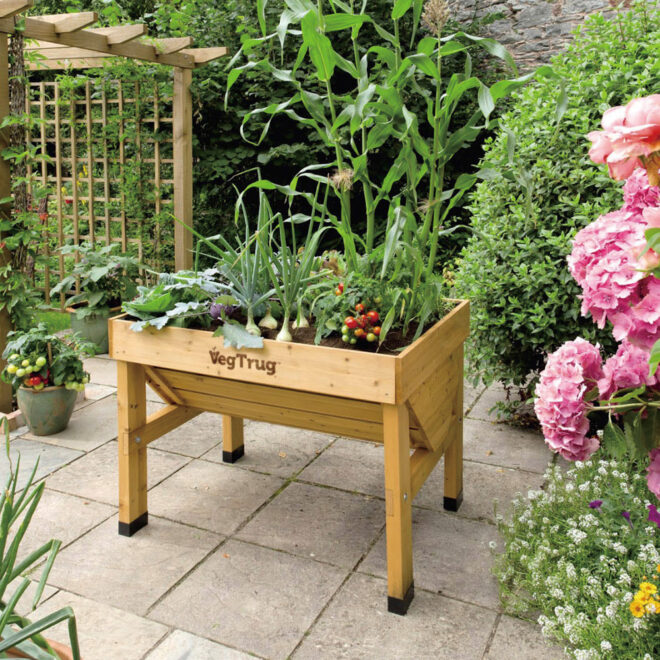 VegTrug Classic - Small 1m - Natural - FSC 100℅ - Image 6