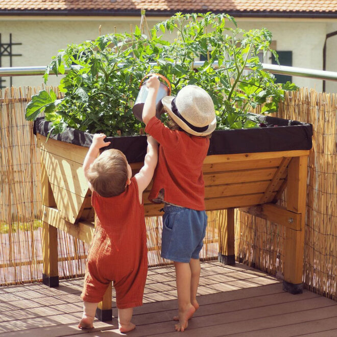 VegTrug Classic - Small 1m - Natural - FSC 100℅ - Image 7