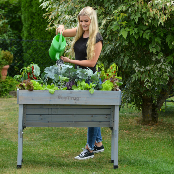 VegTrug Wallhugger - Small 1m - Grey Wash - FSC100% - Image 5