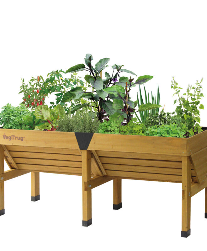 VegTrug Medium 1.8m Classic V2 [Natural]